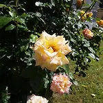 Hundertmorgenfeld 33 *
