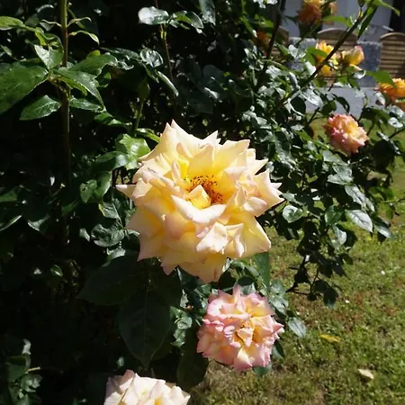 Hundertmorgenfeld 33 *