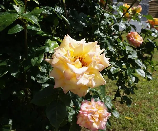 Hundertmorgenfeld 33 *